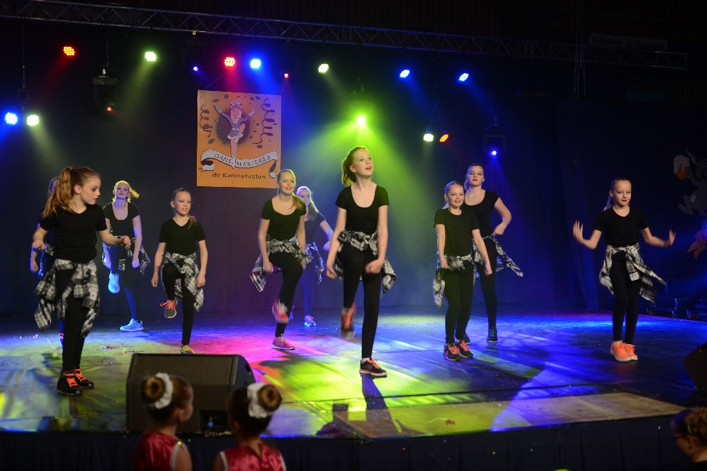 ../Images/Dansmarieke Festival 2016 292.jpg